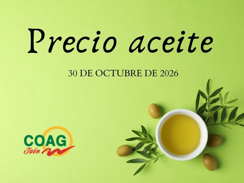 Precio medio del aceite de oliva a 30 de octubre