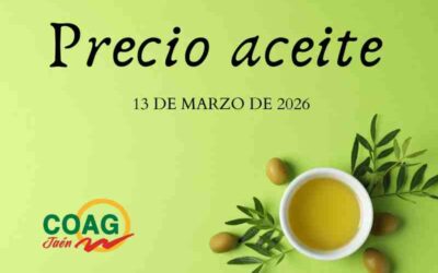 Precio medio del aceite de oliva a 13 de marzo