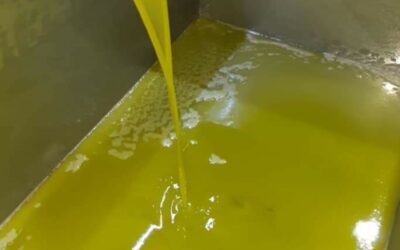 El ritmo de comercialización de aceite está siendo superior al año pasado y apenas si queda un 36% del producido