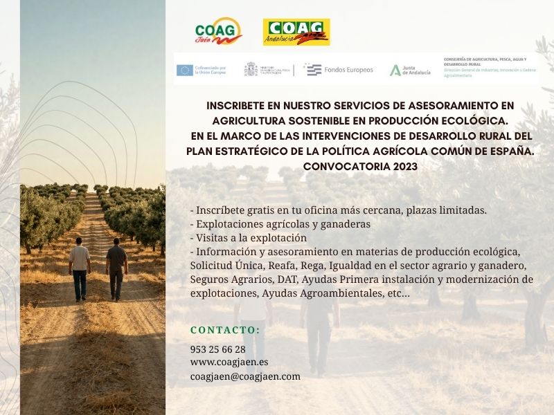 asesoramiento ecologico