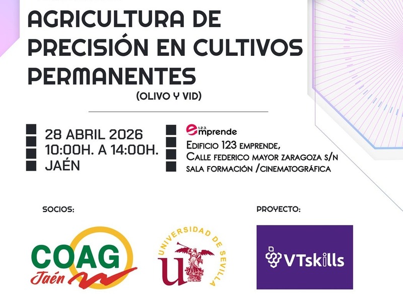 cartel sesión informativa en Jaén del proyecto VTskills
