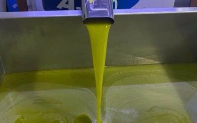 Un enlace de cosecha de 200.000 toneladas, supone un stock de aceite técnicamente cero al inicio real de la campaña de producción