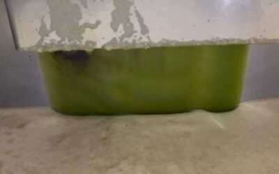 Un 30% menos de producción de aceituna en el olivar de regadío