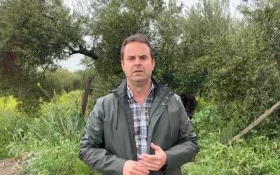 COAG manda un mensaje de tranquilidad a los olivareros sobre los aranceles aprobados por Trump y pide a Europa un paquete de medidas