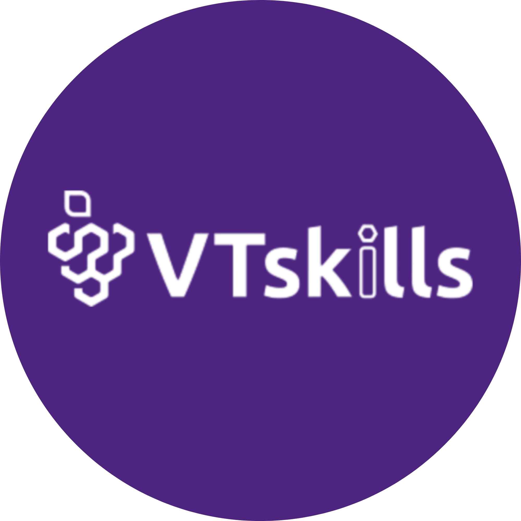 logo redondo vtskills
