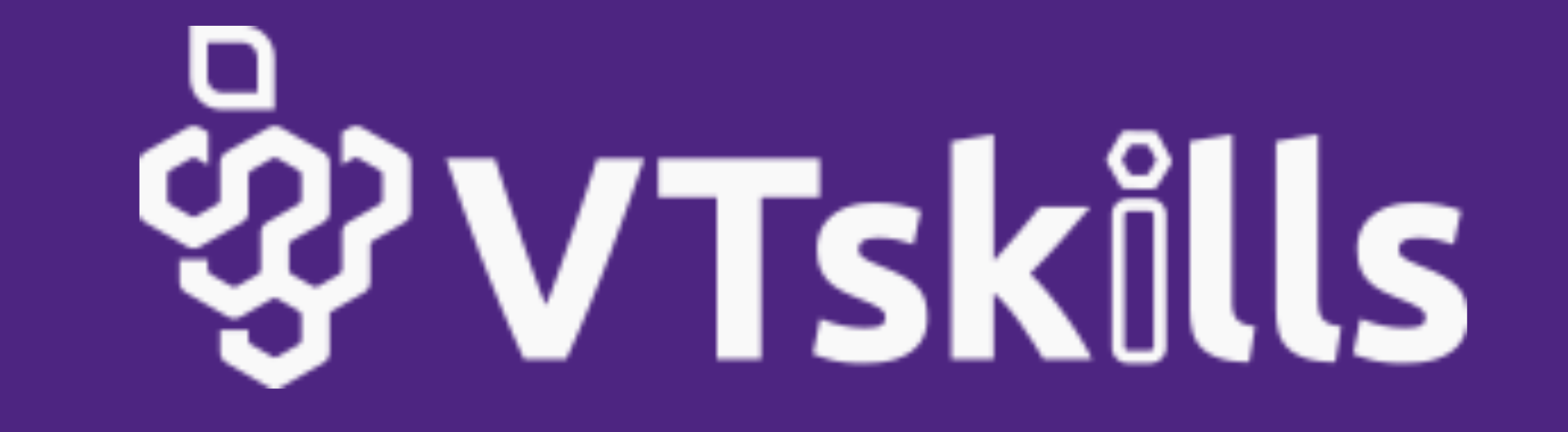 logo vtskills