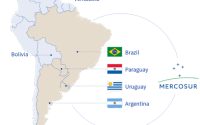 Mercosur puede ser un tiro en el pie para el olivar español