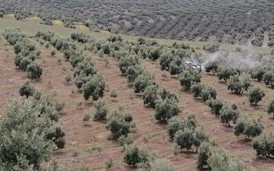 COAG Jaén pide a la CHG que cumpla su compromiso y dote de riego al olivar el próximo 1 de octubre