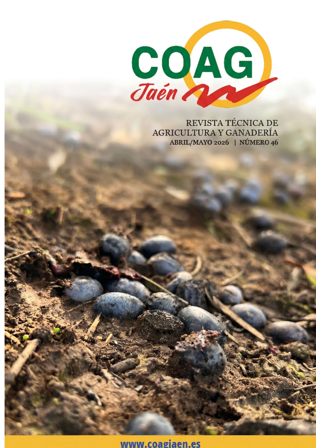 portada revista 46