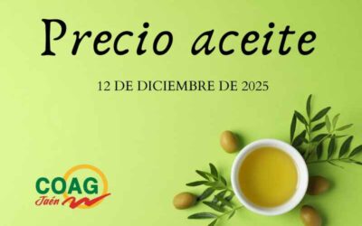 Precio medio del aceite de oliva a 12 de diciembre