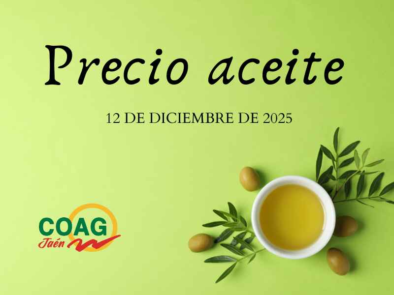 Precio medio del aceite de oliva a 12 de diciembre