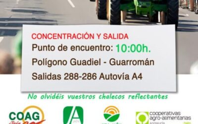 Unidad de acción de organizaciones agrarias y cooperativas en la protestas del 14F en Jaén