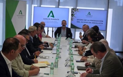 Un aforo acertado que desencadenará, por primera vez en la historia, la norma de autorregulación