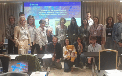 VTskills celebra su segunda reunión en Tesalónica (Grecia)