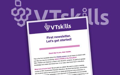 VTskills. ¡Ya estamos a mitad del proyecto!